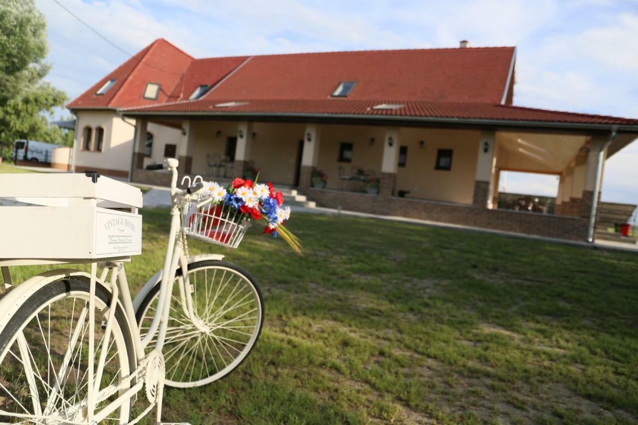Tiszavilág Pihenőház Hotel Tiszakécske Exterior foto